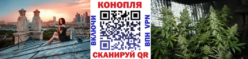 Марихуана план  дарнет шоп  KRAKEN ONION  Тутаев 
